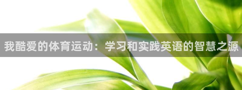 98体育录像回放微博：我酷爱的体育运动：学习和实践英语的智慧之源