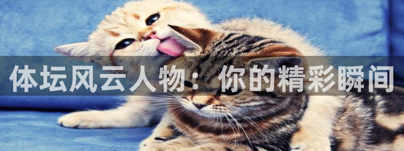98体育篮球直播：体坛风云人物：你的精彩瞬间